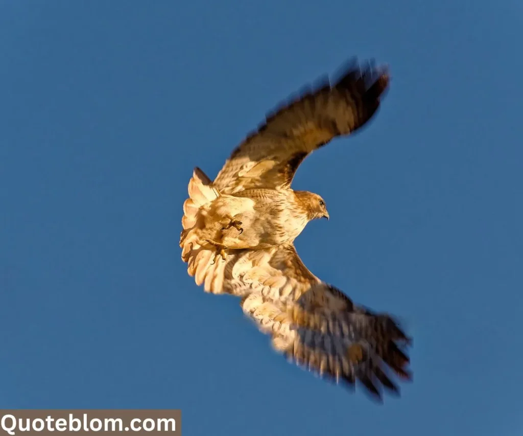 Atticus Quotes from To Kill a Mockingbird