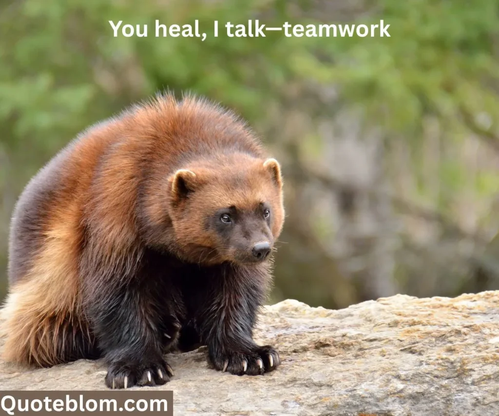 Best Deadpool and Wolverine Quotes