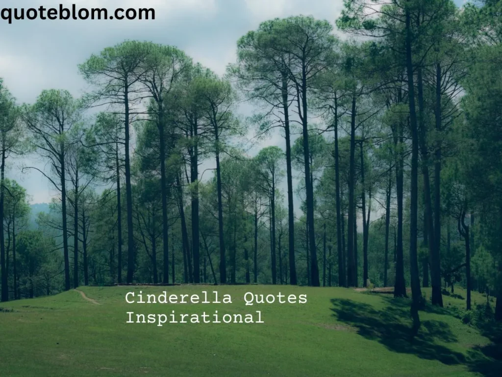 Cinderella Quotes Inspirational