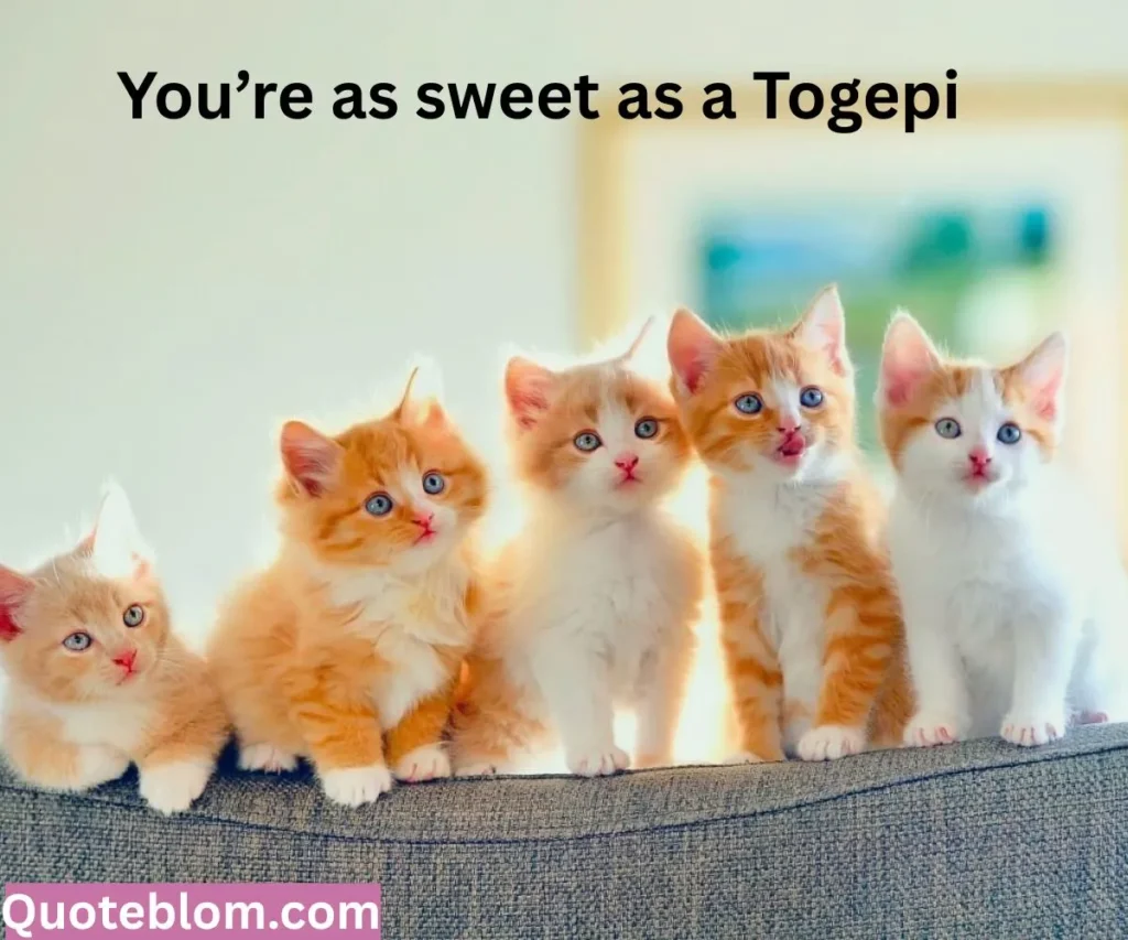 Cute Pokemon Quotes