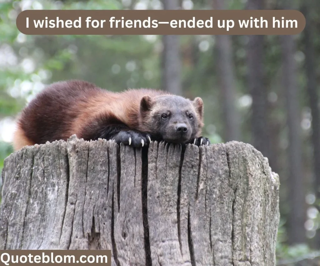Deadpool and Wolverine Quotes Wish