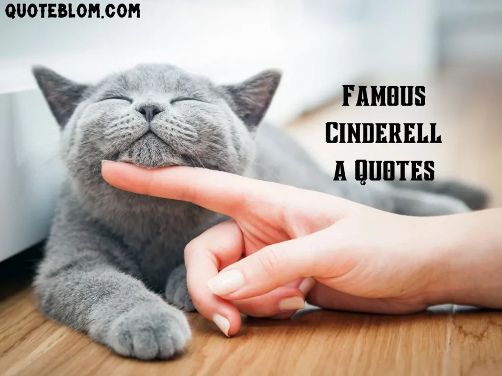 Famous Cinderella Quotes