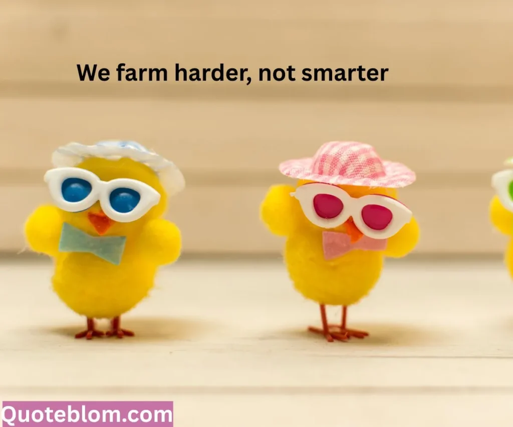 Funny Country Quotes
