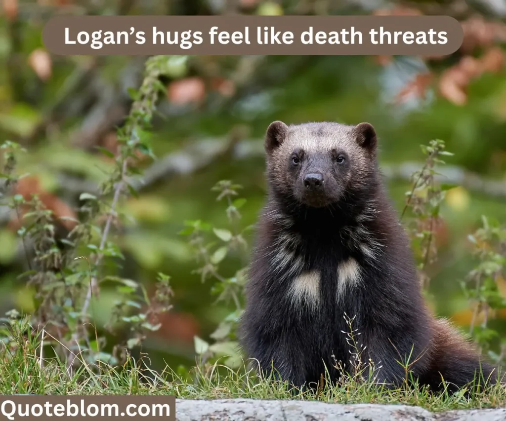 Funny Deadpool and Wolverine Quotes