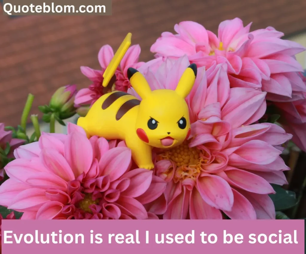 Funny Pokemon Quotes