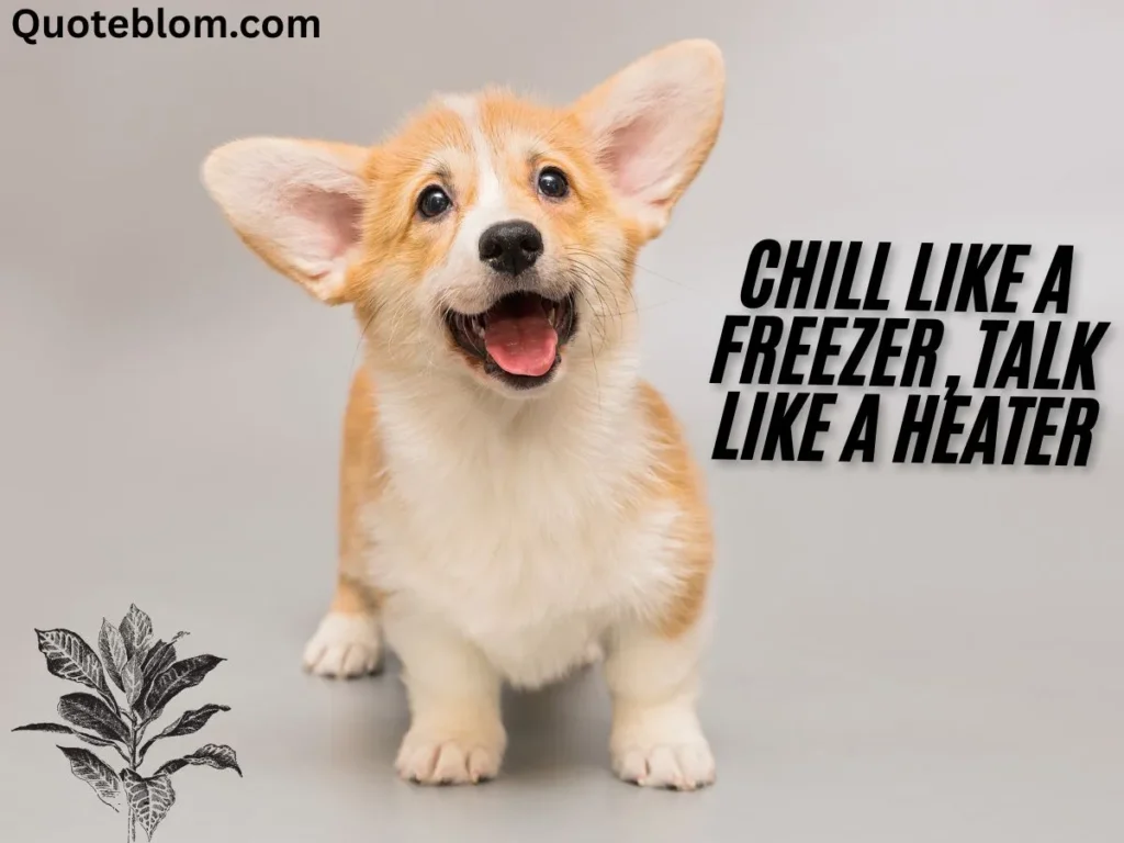funny snoop dogg quotes