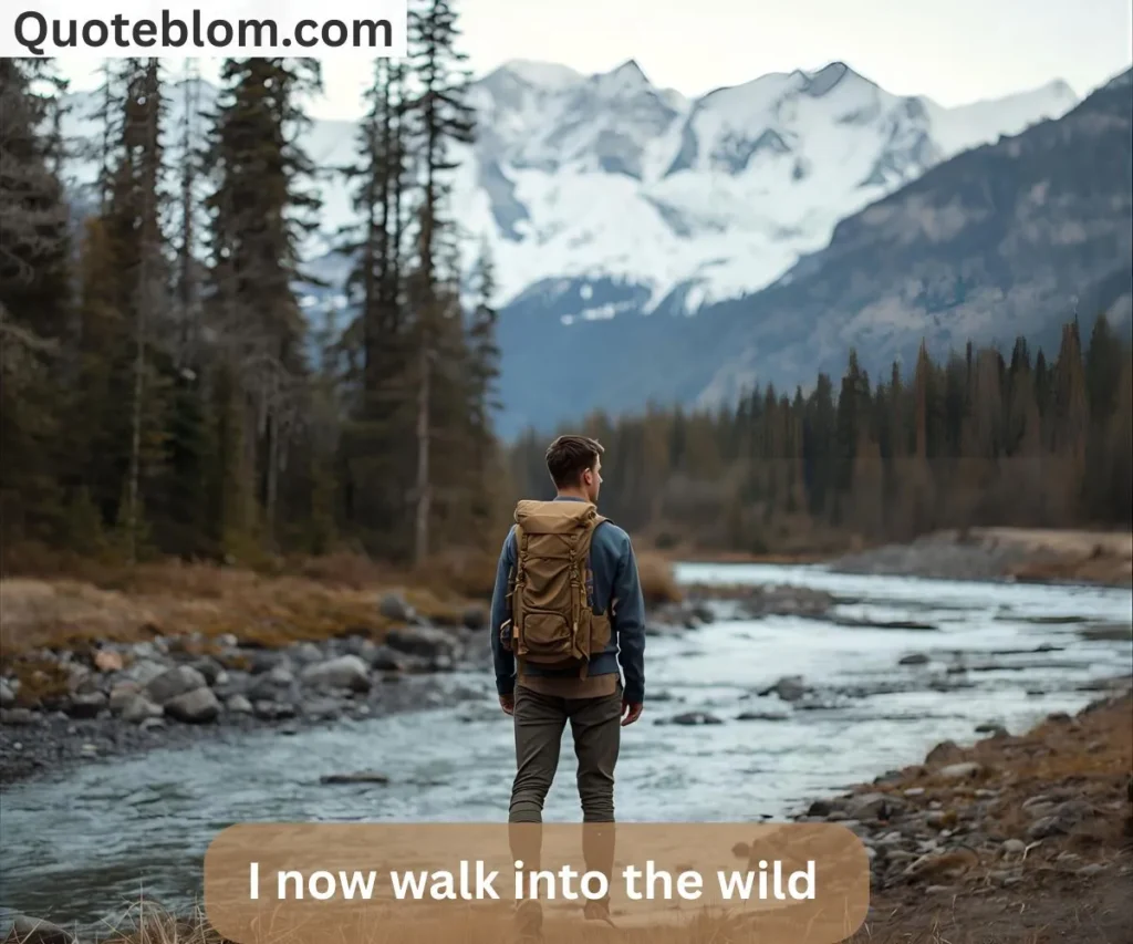 Into the Wild Quotes Chapter 1