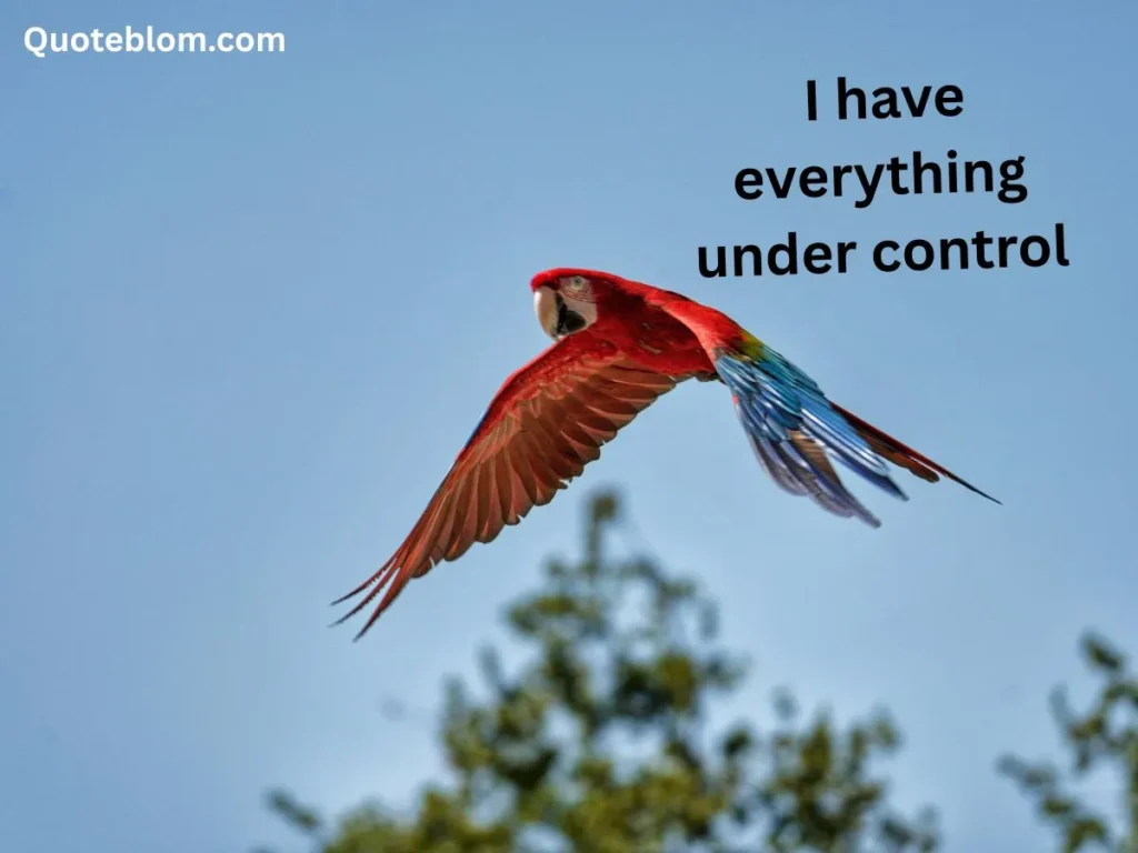 Scarlet Witch Quotes