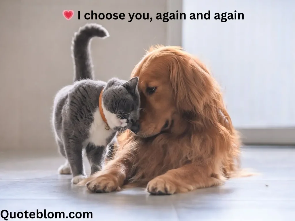 Short Short Love Quotes for Her