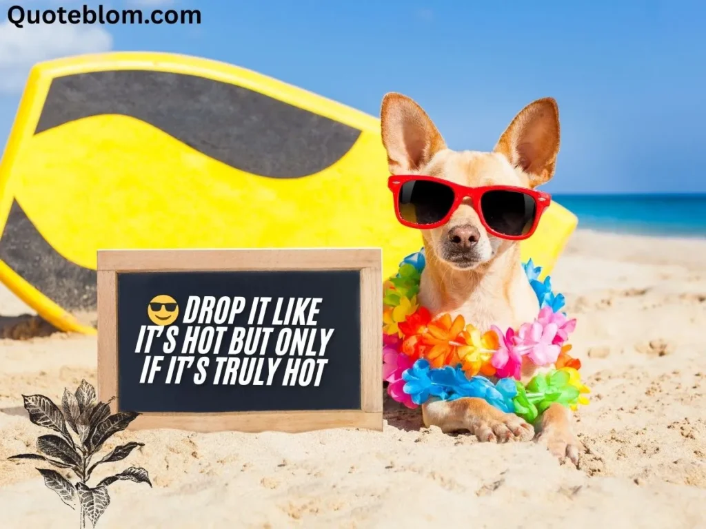 Snoop Dogg Quotes Funny