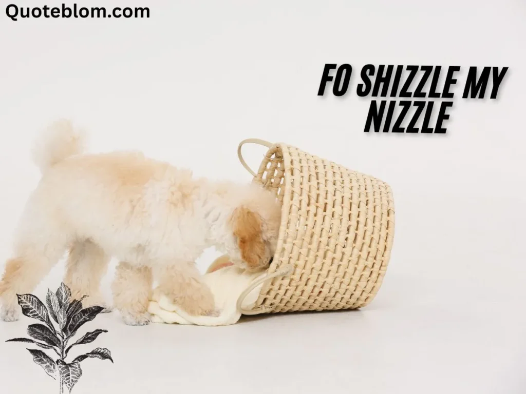 snoop dogg quotes shizzle