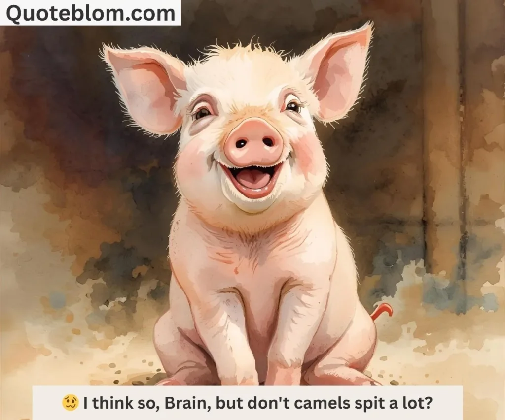 Funny Pinky and the Brain Quotes