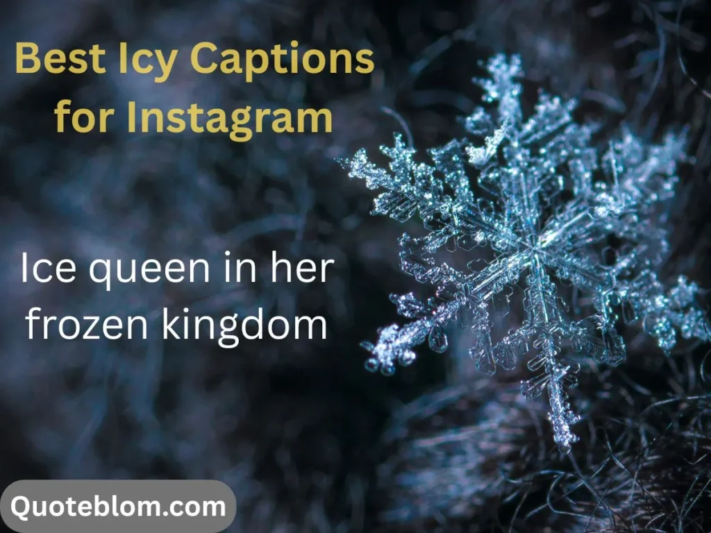 Best Icy Captions for Instagram