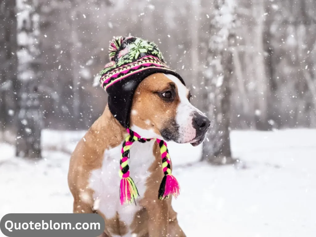 Cute Icy Captions for Instagram