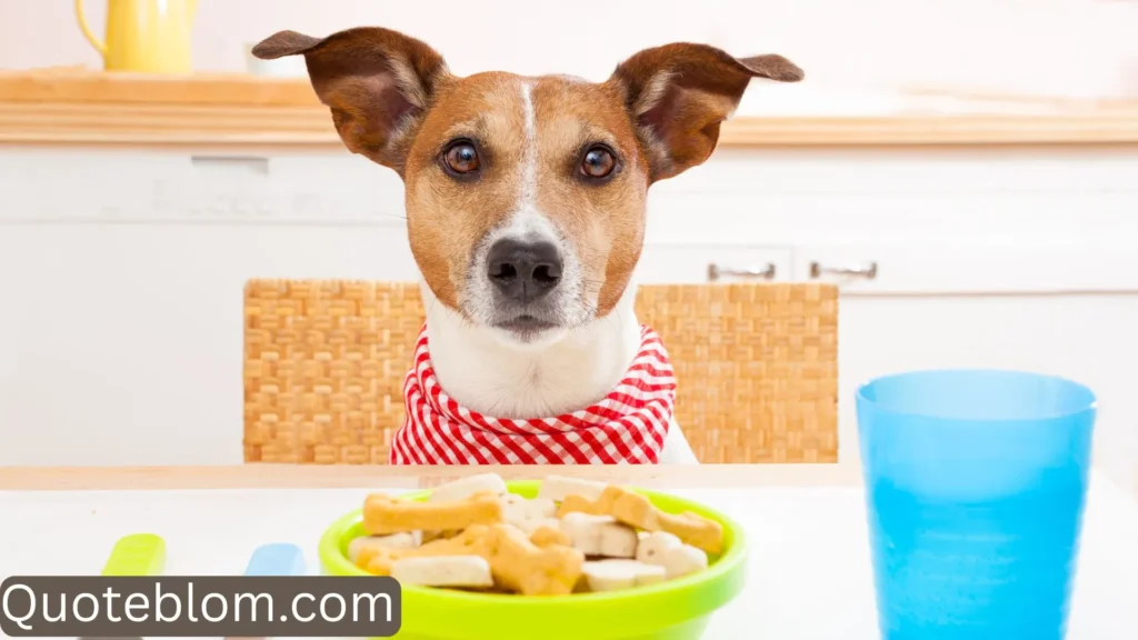  Funny Hungry Captions