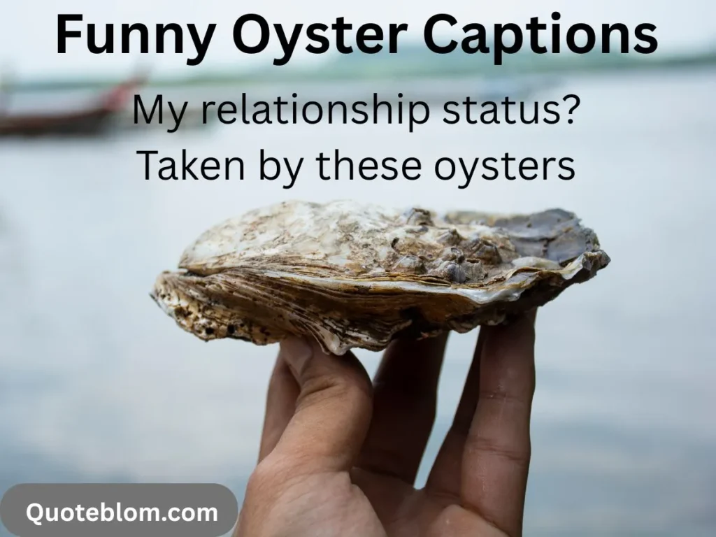 Funny Oyster Captions