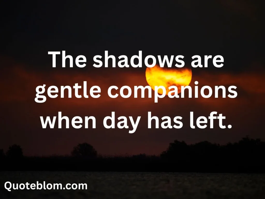 Late-Night Comfort & Solitude