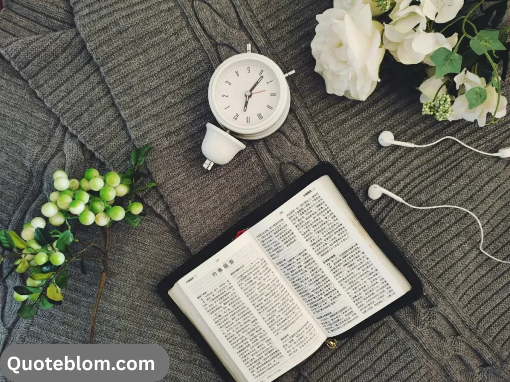 Lyrics & Quote-Style Oyster Captions