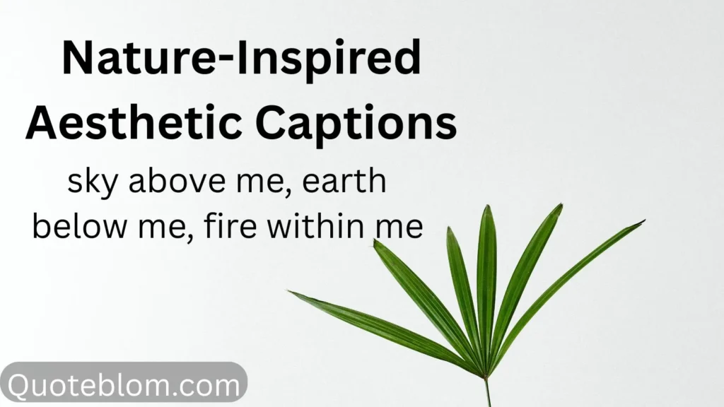 Nature-Inspired Aesthetic Captions