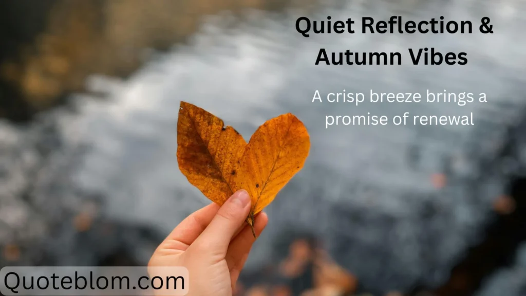  Quiet Reflection & Autumn Vibes