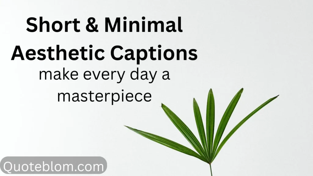 Short & Minimal Aesthetic Captions