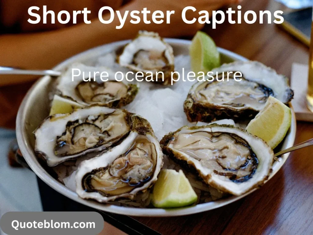 Short Oyster Captions