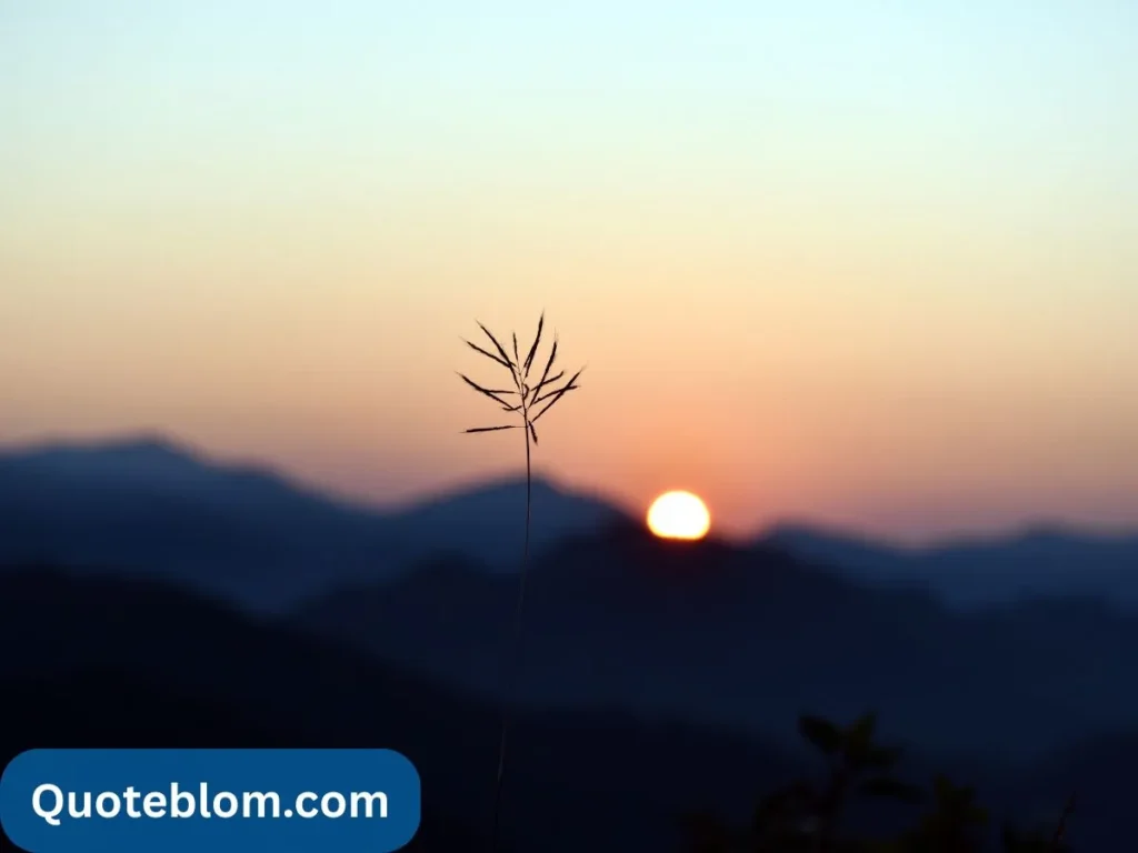 Short Simple Night Vibes