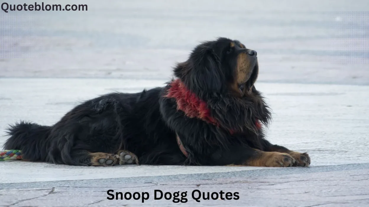 Snoop Dogg Quotes