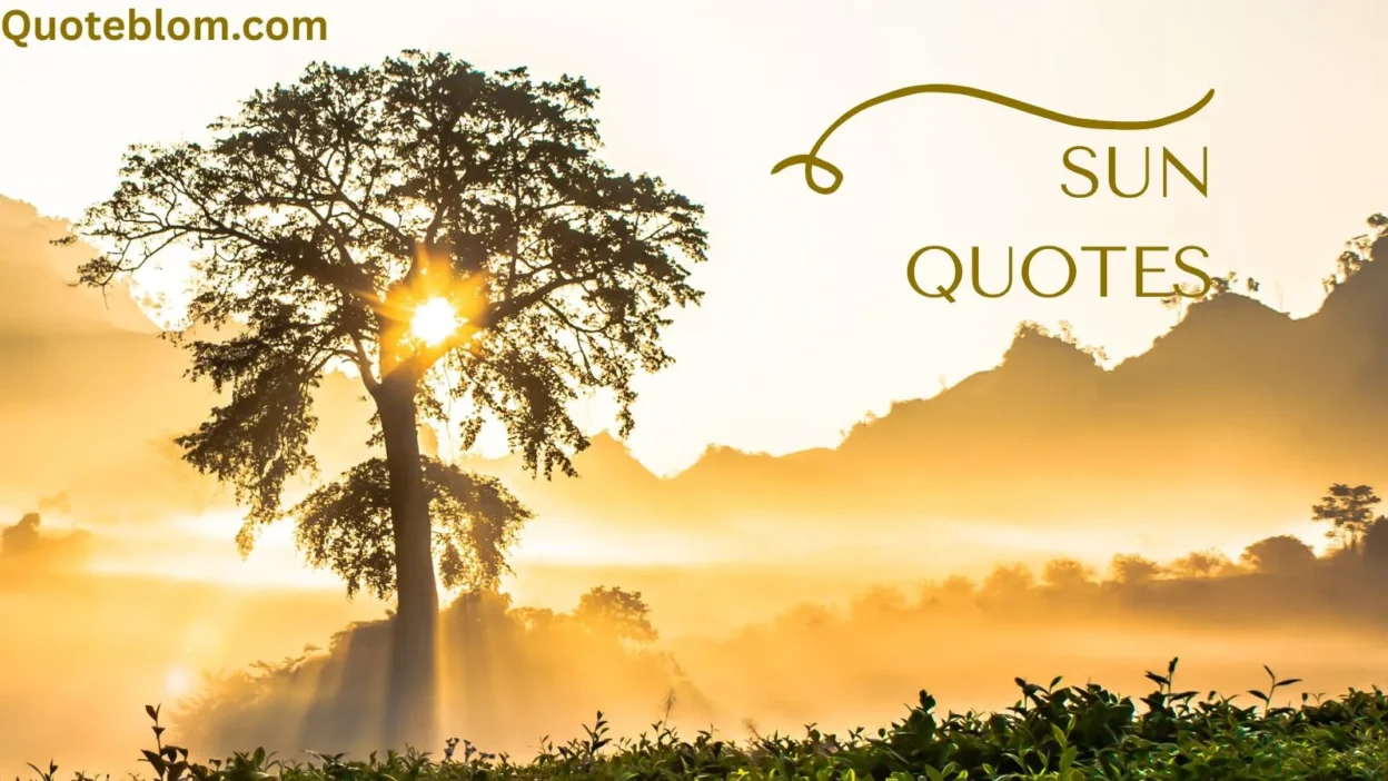 Sun Quotes