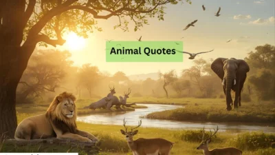 Animal Quotes