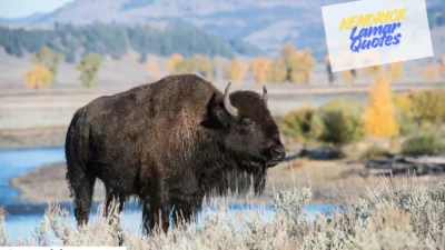 Kendrick Lamar Quotes