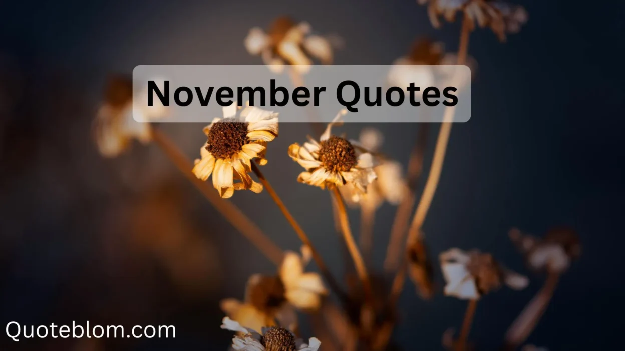 November Quotes